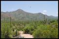 CRW_8918 Trail by welcome center